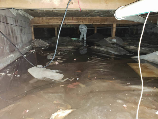 Trusted Water Damage Restoration in Republic, PA | Fast, Reliable, and Ready to Assist You